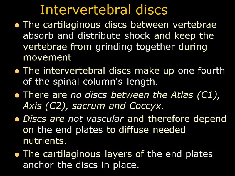 Intervertebral discs The cartilaginous discs between vertebrae absorb and distribute shock and keep the